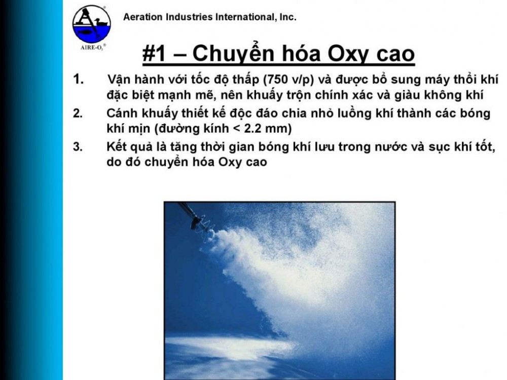 THIẾT BỊ SỤC KHÍ VÀ KHUẤY TRỘN BỀ MẶT TRITON